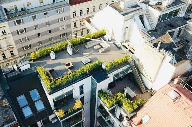 Terrassenwohnung kaufen in 1030 Wien (Bild 1)