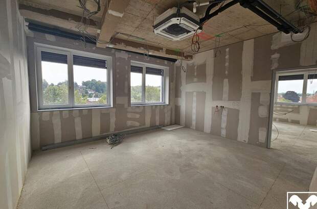Gewerbeobjekt mieten in 4710 Grieskirchen (Bild 4)