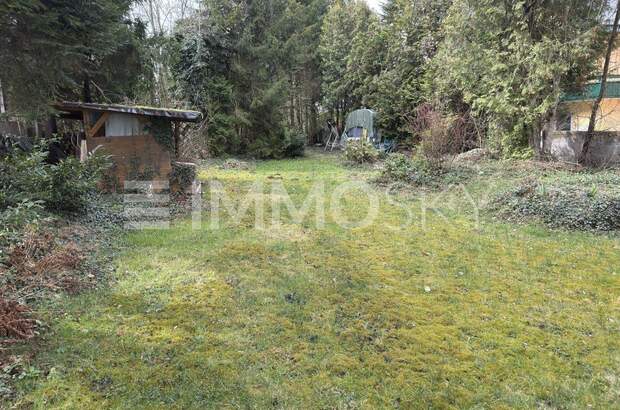 Einfamilienhaus kaufen in 5020 Salzburg (Bild 5)