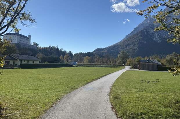 Grundstück kaufen in 8951 Trautenfels (Bild 2)