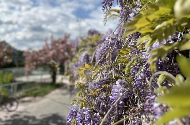 Wohnung kaufen in 9500 Villach (Bild 2)