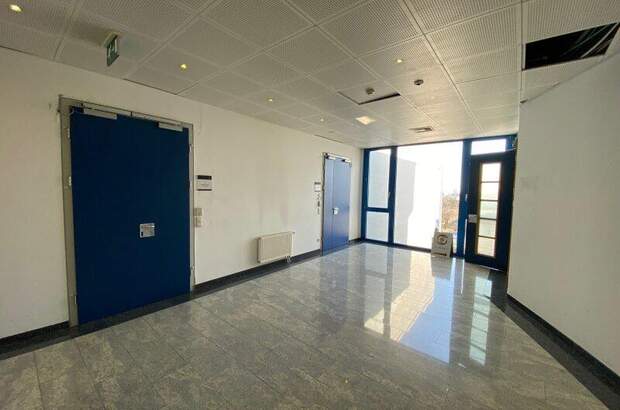 Büro / Praxis mieten in 2351 Wr. Neudorf (Bild 4)