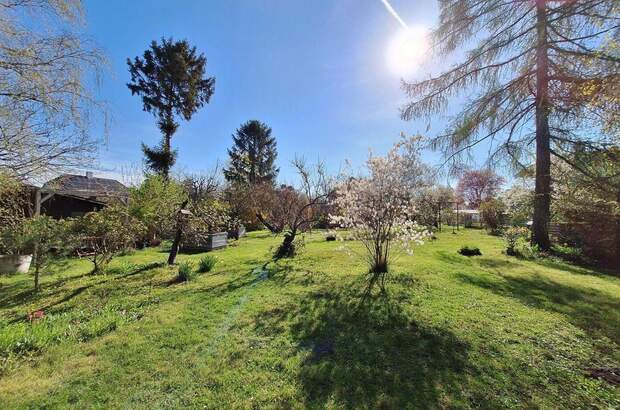 Haus kaufen in 1220 Wien (Bild 5)