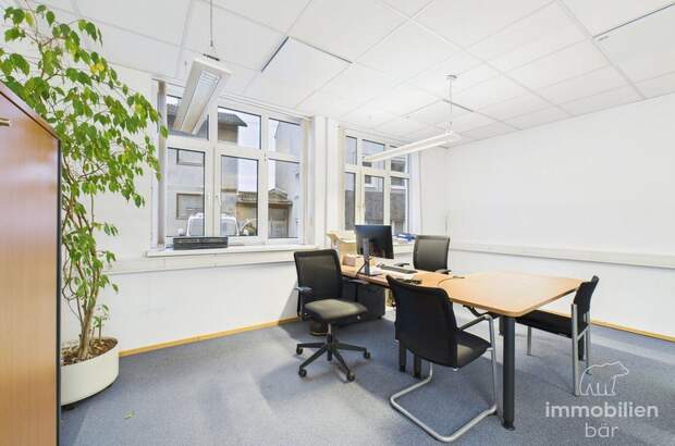 Gewerbeobjekt mieten in 4710 Grieskirchen (Bild 3)