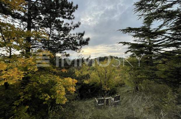 Grundstück kaufen in 2103 Langenzersdorf (Bild 1)