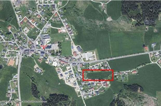 Grundstück kaufen in 4251 Sandl (Bild 3)