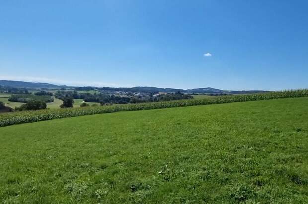 Gewerbeobjekt kaufen in 4223 Bodendorf (Bild 2)