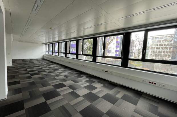 Gewerbeobjekt mieten in 8020 Graz (Bild 3)