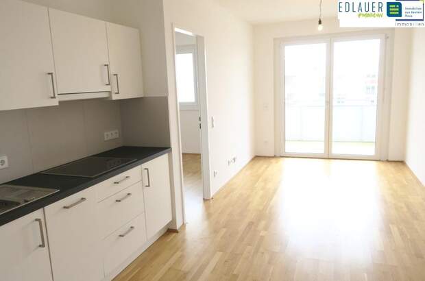 Terrassenwohnung mieten in 3100 St. Pölten (Bild 4)