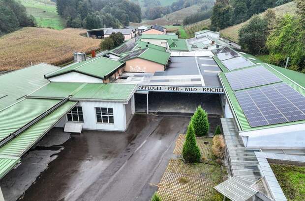 Gewerbeobjekt mieten in 8353 Kapfenstein (Bild 4)