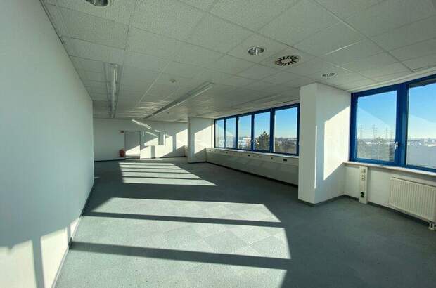 Büro / Praxis mieten in 2351 Wr. Neudorf (Bild 1)