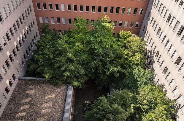 Gewerbeobjekt mieten in 1110 Wien (Bild 4)