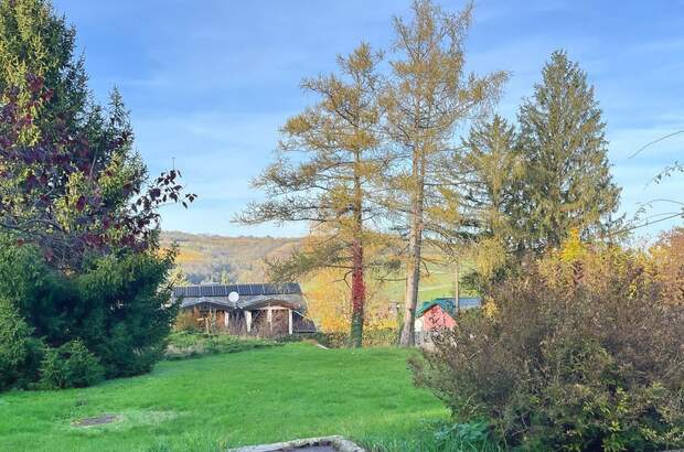 Grundstück kaufen in 3400 Weidling (Bild 4)