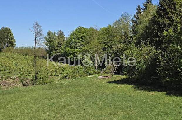 Einfamilienhaus kaufen in 8410 Wildon (Bild 5)