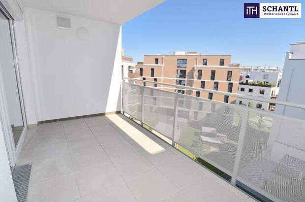 Terrassenwohnung mieten in 2320 Schwechat (Bild 1)