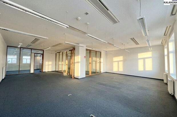 Gewerbeobjekt mieten in 1010 Wien (Bild 4)