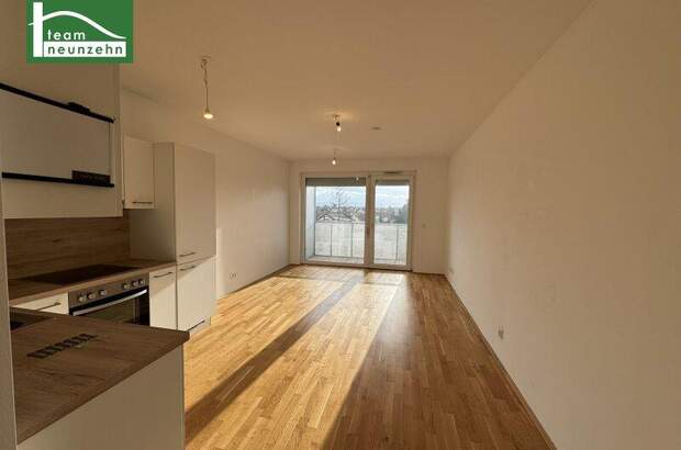 Terrassenwohnung mieten in 2700 Wr. Neustadt (Bild 1)