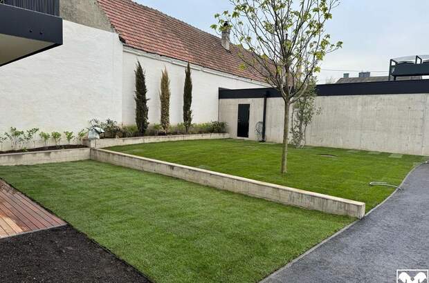 Mietwohnung in 3425 Langenlebarn (Bild 5)