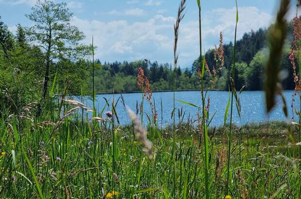 Einfamilienhaus kaufen in 9220 Velden (Bild 1)