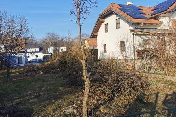 Grundstück kaufen in 2492 Zillingdorf