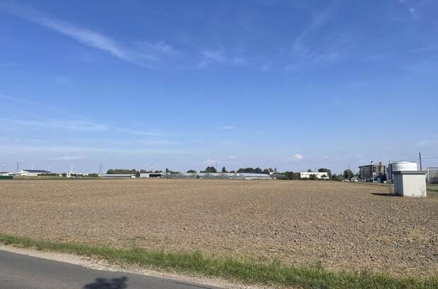 Gewerbeobjekt kaufen in 1220 Wien (Bild 4)