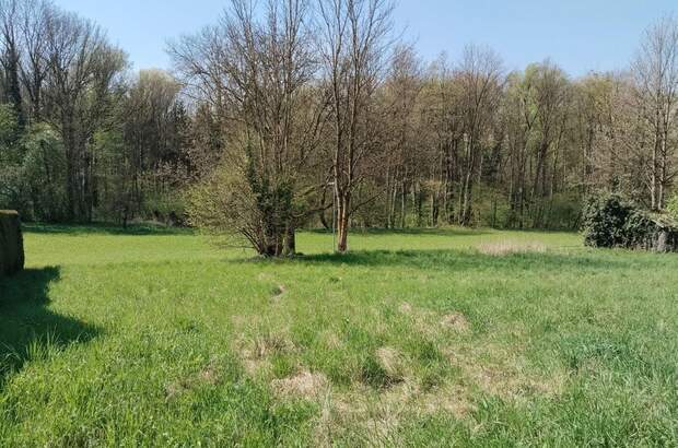 Grundstück kaufen in 4073 Wilhering (Bild 3)