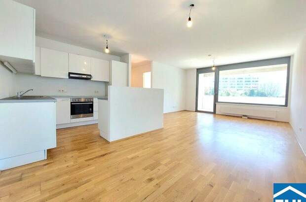 Terrassenwohnung mieten in 1110 Wien (Bild 1)