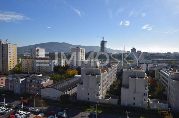 Terrassenwohnung kaufen in 4040 Linz (Bild 1)