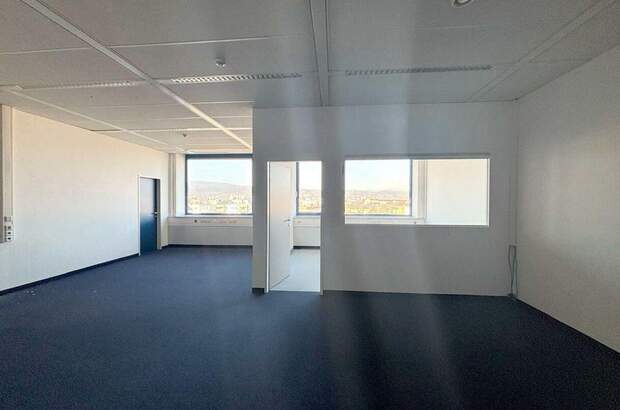 Gewerbeobjekt mieten in 2351 Wiener Neudorf (Bild 2)