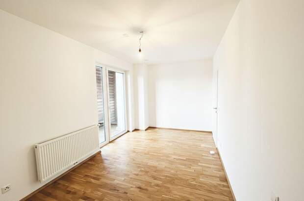 Terrassenwohnung mieten in 3140 Pottenbrunn (Bild 4)
