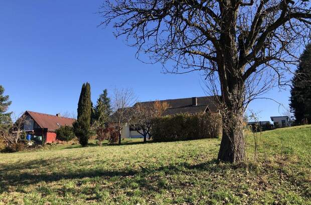 Grundstück kaufen in 8045 Weinitzen (Bild 1)