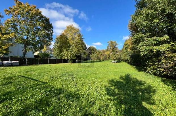 Grundstück kaufen in 2500 Baden (Bild 3)