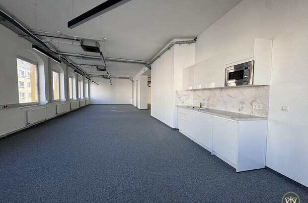 Gewerbeobjekt mieten in 1100 Wien (Bild 3)