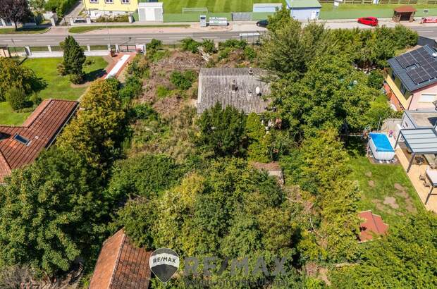 Grundstück kaufen in 2440 Mitterndorf (Bild 4)