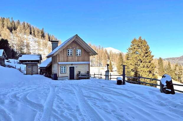 Jagd- und Forstwirtschaft kaufen in 9565 Reichenau (Bild 2)