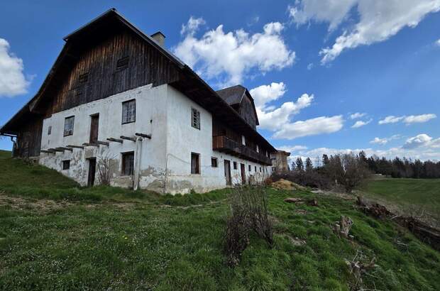 Gewerbeobjekt kaufen in 9112 Griffen (Bild 2)
