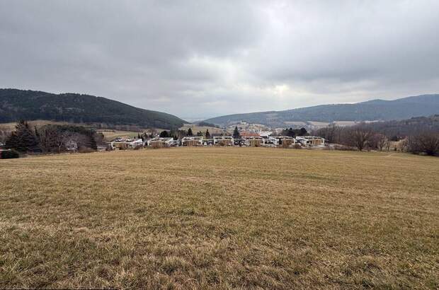 Grundstück kaufen in 2732 Oberhöflein (Bild 1)