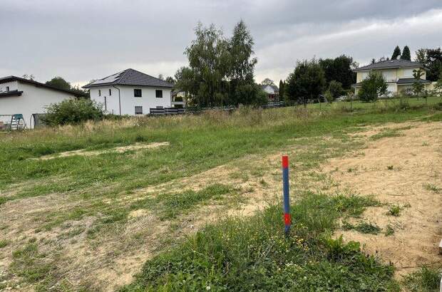 Grundstück kaufen in 8241 Dechantskirchen (Bild 1)