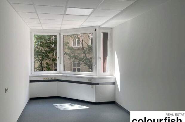 Gewerbeobjekt mieten in 1050 Wien (Bild 3)