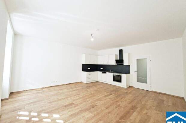 Terrassenwohnung mieten in 1040 Wien (Bild 2)