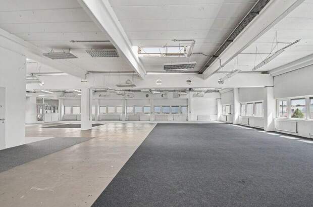 Büro / Praxis mieten in 1230 Wien (Bild 1)