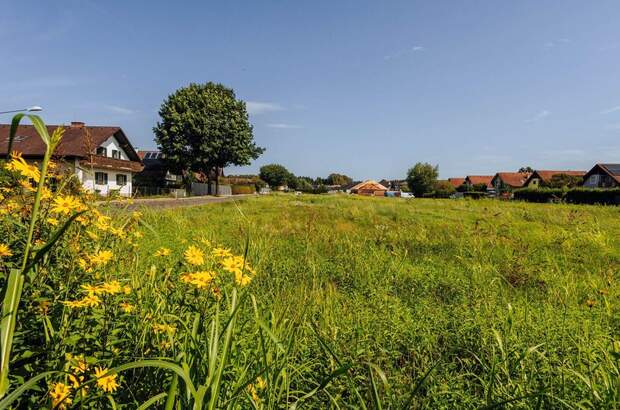 Anlageobjekt kaufen in 8472 Straß (Bild 5)