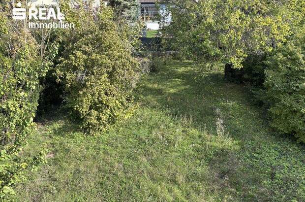 Haus kaufen in 2201 Gerasdorf (Bild 5)