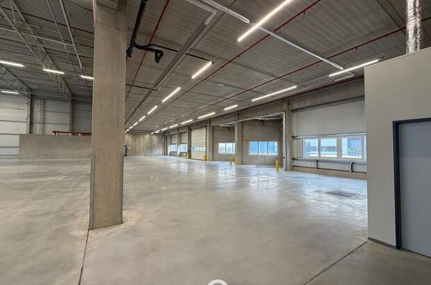 Gewerbeobjekt mieten in 4470 Enns (Bild 1)