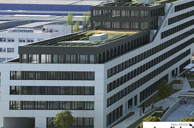 Gewerbeobjekt mieten in 1230 Wien (Bild 3)