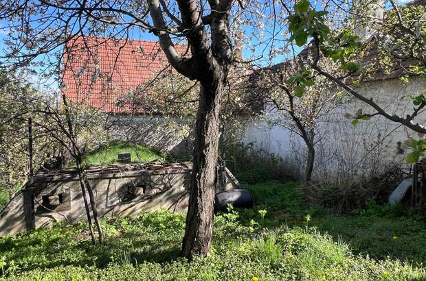 Haus mit Garten kaufen in 7091 Breitenbrunn (Bild 3)