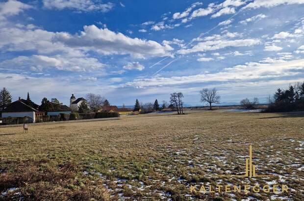 Grundstück kaufen in 2722 Weikersdorf (Bild 5)