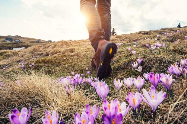 Wohnung mit Balkon kaufen in 8970 Schladming (Bild 5)
