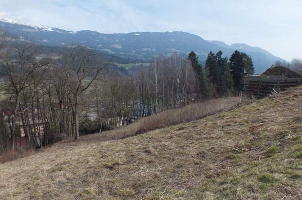 Grundstück kaufen in 9711 Paternion (Bild 3)