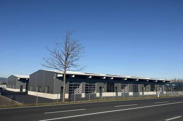 Lager mieten in 2524 Teesdorf (Bild 3)